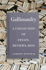 An image of the Gallimaufry book cover